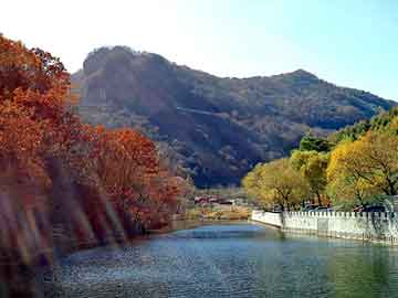 新澳门免费精准大全，杀神邪尊